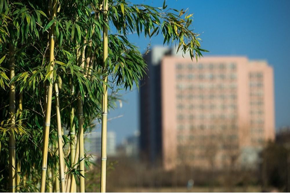 上海交通大学马超研究员应邀到我校作学术报告