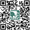 河南教育