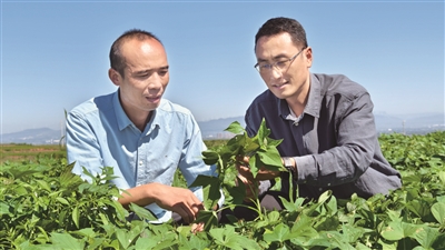 洛阳日报：河南科技大学驻村第一书记郭韬聚焦村民所需、扎实为民办事