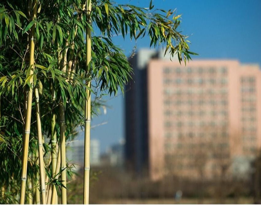 【学术预告】​从能力提升到生涯发展：辅导员职业化成长的实践路径