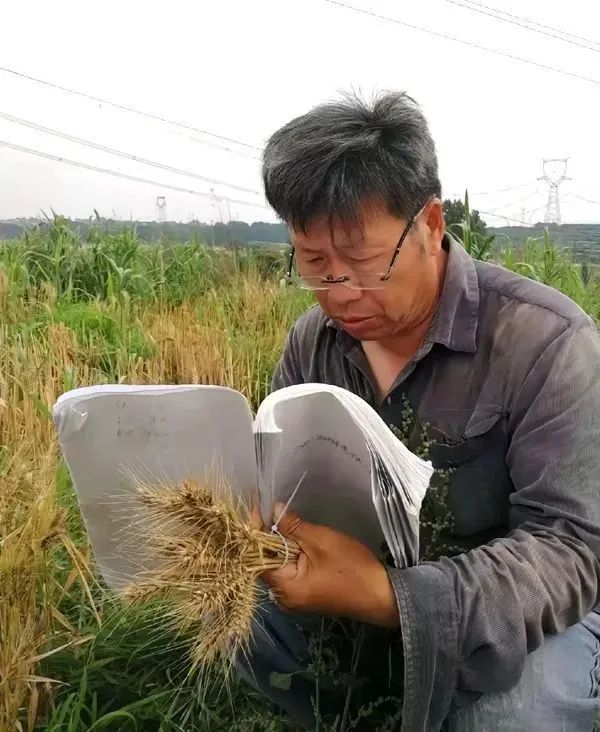 图片 图片